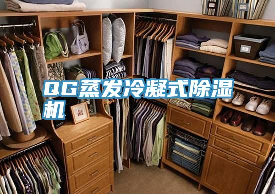 QG蒸發冷凝式草莓小视频黄色