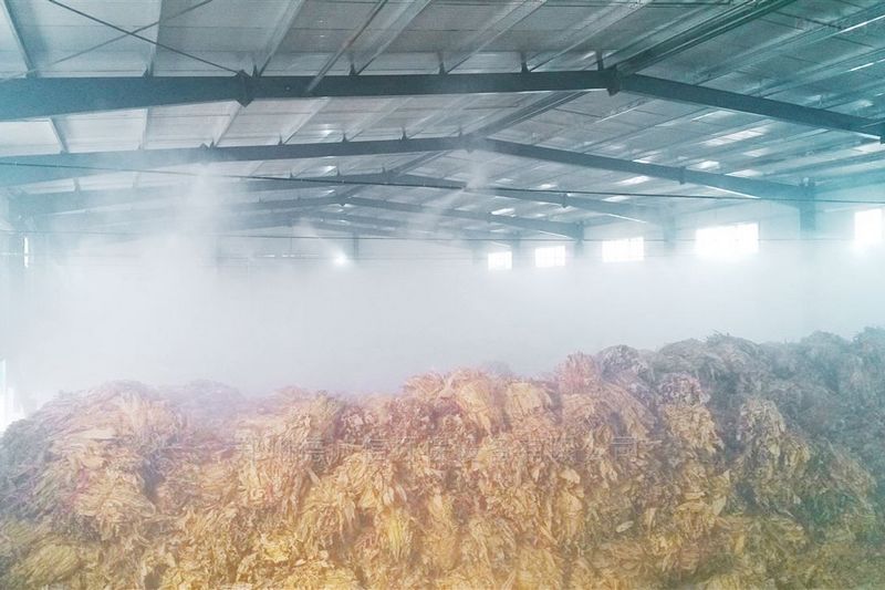 提升煙葉加工質量，高效回潮很重要