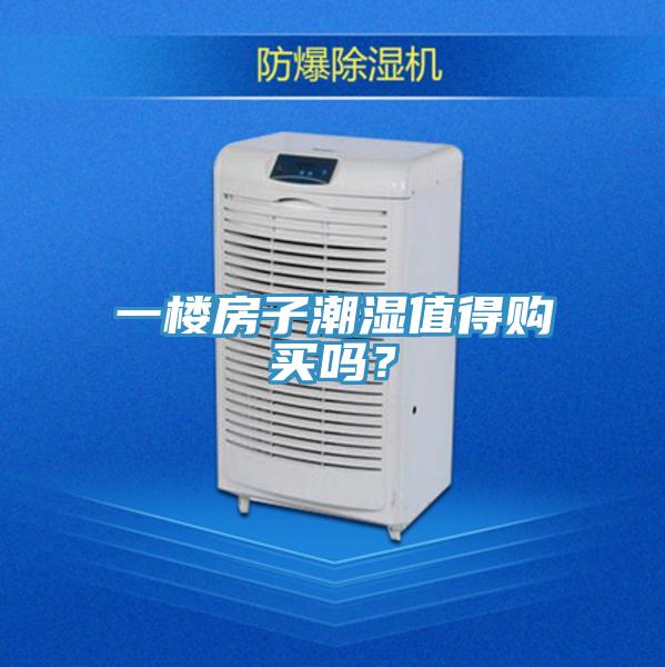 一樓房子潮濕值得購買嗎？