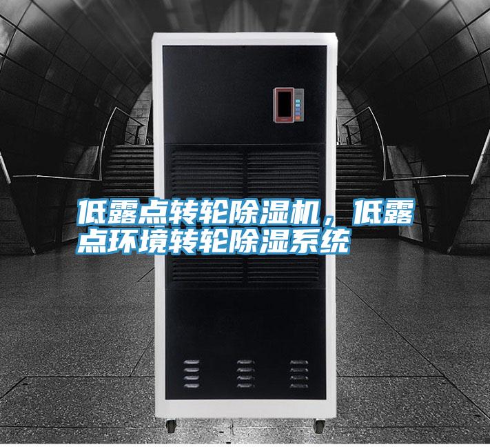 低露點轉輪草莓小视频黄色，低露點環境轉輪除濕係統