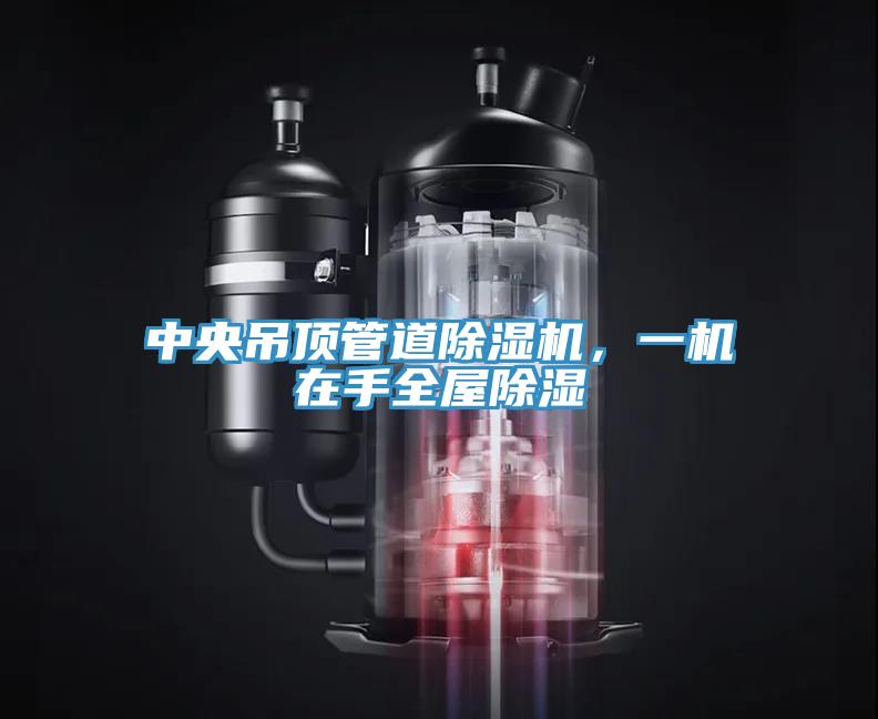 中央吊頂管道草莓小视频黄色，一機在手全屋除濕