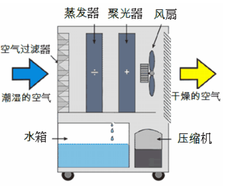 轉輪草莓小视频黄色啟動不正常的原因