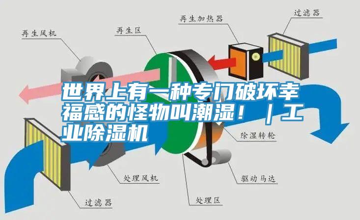 世界上有一種專門破壞幸福感的怪物叫潮濕！｜工業草莓小视频黄色