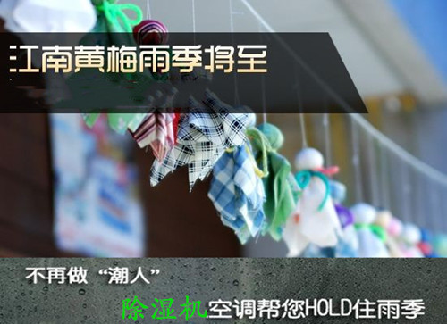 防潮草莓小视频黄色