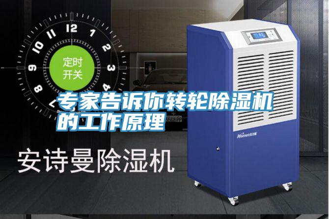 專家告訴你轉輪草莓小视频黄色的工作原理