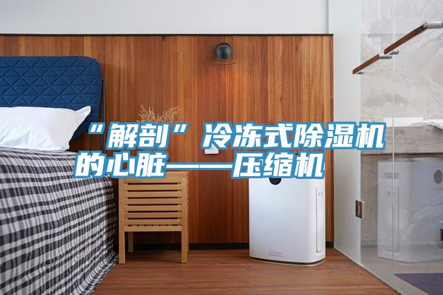 “解剖”冷凍式草莓小视频黄色的心髒——壓縮機