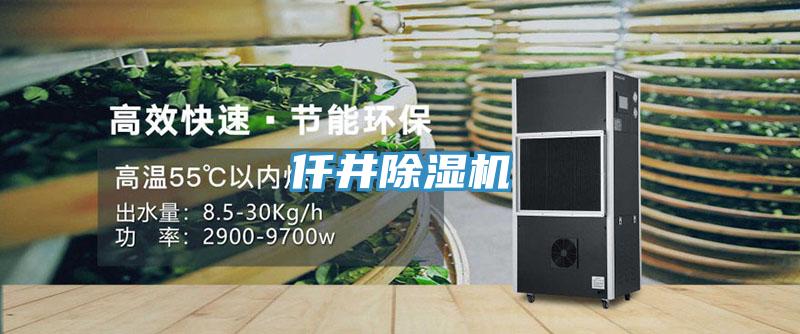 仟井草莓小视频黄色