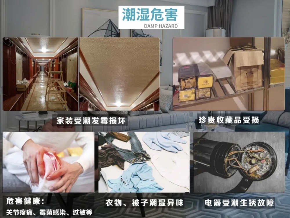 草莓小视频黄色