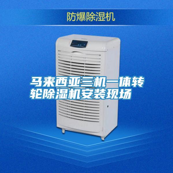 馬來西亞三機一體轉輪草莓小视频黄色安裝現場