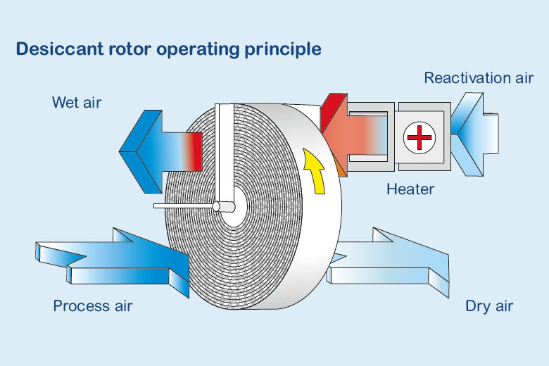 1521618552272303.jpg 轉輪草莓小视频黄色原理.jpg