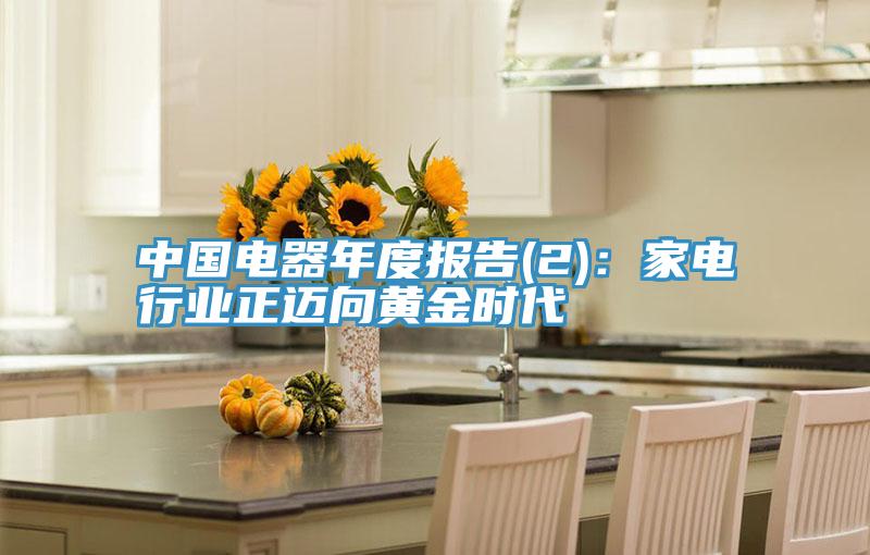 中國電器年度報告(2)：家電行業正邁向黃金時代