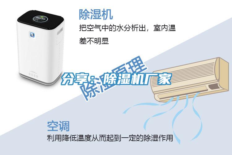 分享：草莓小视频黄色廠家