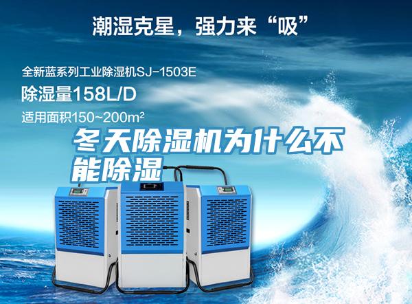 冬天草莓小视频黄色為什麽不能除濕