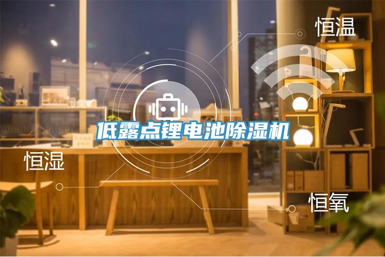 低露點鋰電池草莓小视频黄色