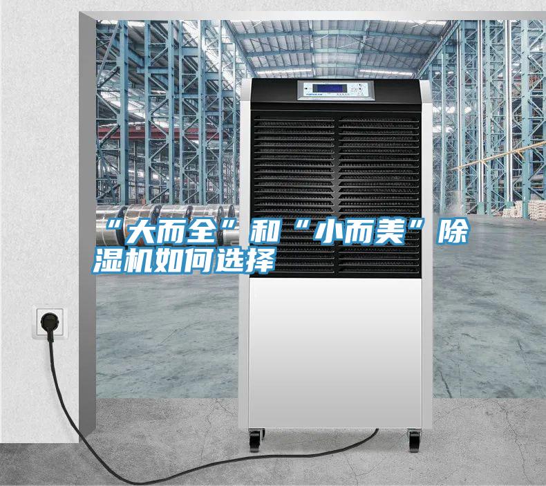 “大而全”和“小而美”草莓小视频黄色如何選擇