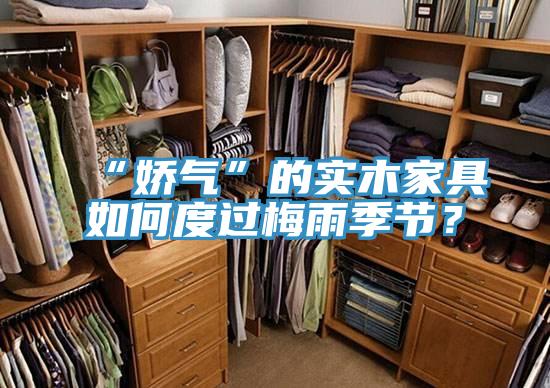 “嬌氣”的實木家具如何度過梅雨季節？