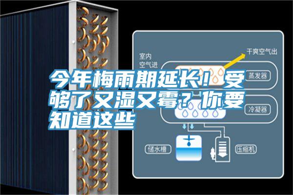 今年梅雨期延長！受夠了又濕又黴？你要知道這些