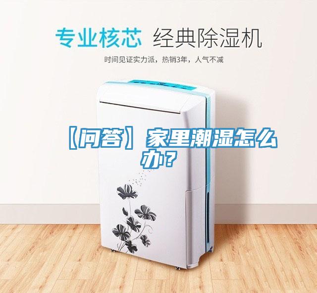 【問答】家裏潮濕怎麽辦？