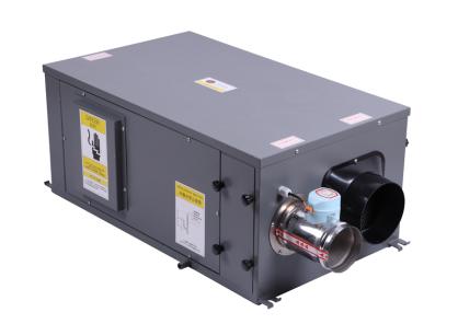 管道調溫草莓小视频黄色