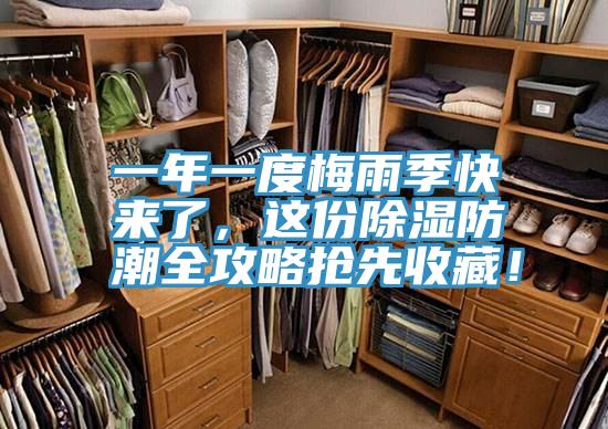 一年一度梅雨季快來了，這份除濕防潮全攻略搶先收藏！