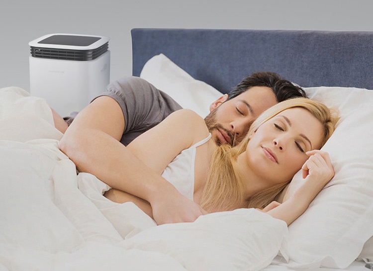 草莓小视频黄色