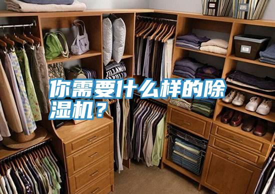 你需要什麽樣的草莓小视频黄色？