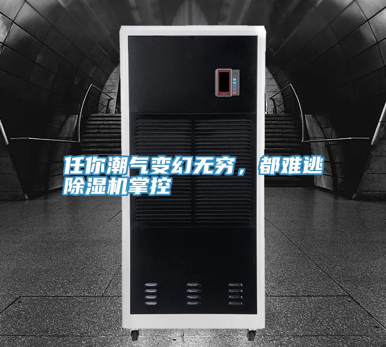 任你潮氣變幻無窮，都難逃草莓小视频黄色掌控