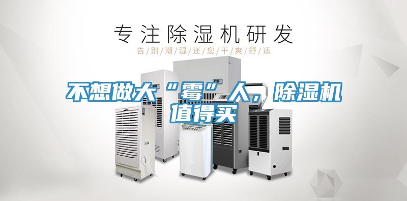 不想做大“黴”人，草莓小视频黄色值得買