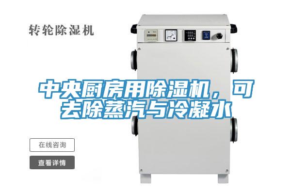 中央廚房用草莓小视频黄色，可去除蒸汽與冷凝水