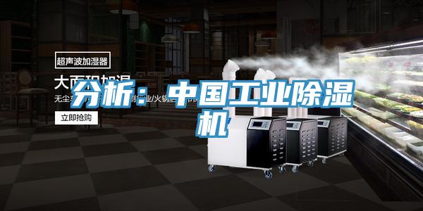 分析：中國工業草莓小视频黄色