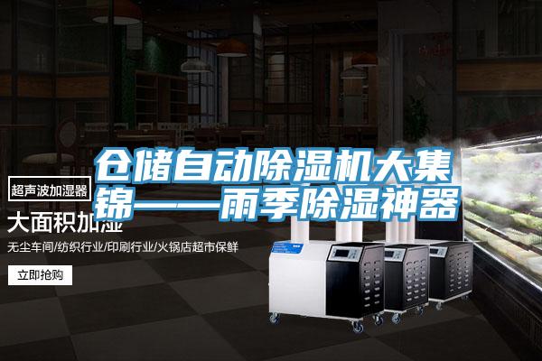 倉儲自動草莓小视频黄色大集錦——雨季除濕神器