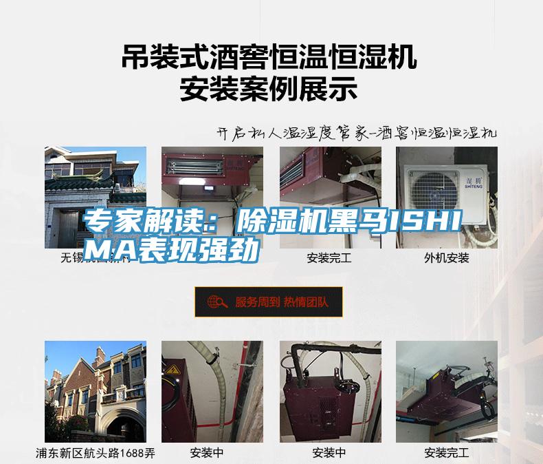 專家解讀：草莓小视频黄色黑馬ISHIMA表現強勁