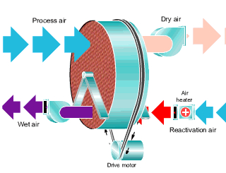 轉輪草莓小视频黄色工作流程