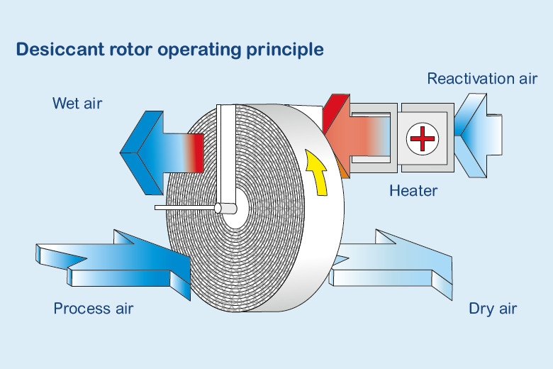 1521444036831053.jpg 轉輪草莓小视频黄色.jpg