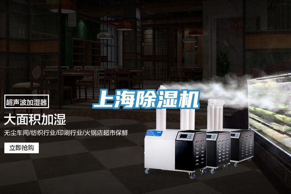 上海草莓小视频黄色