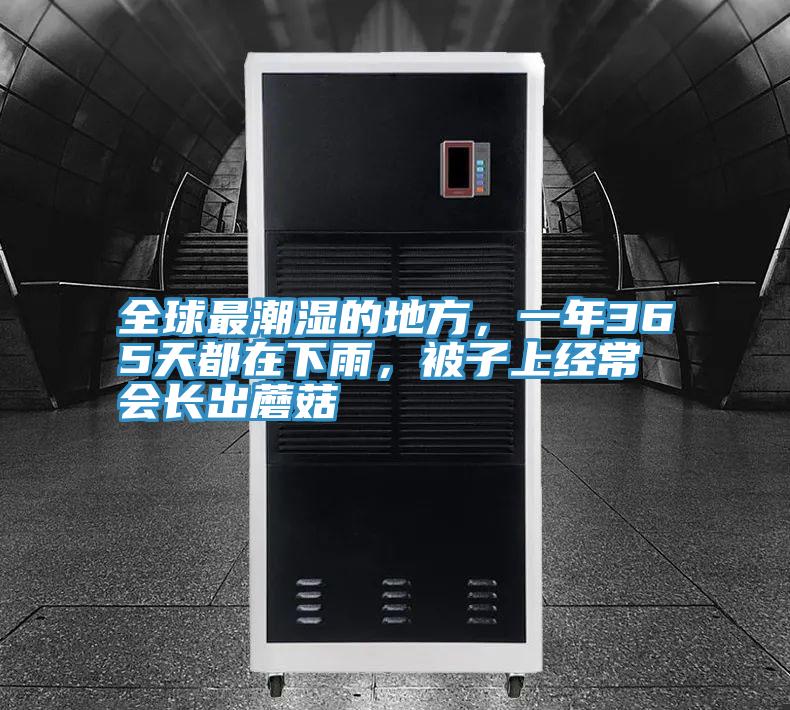 全球最潮濕的地方，一年365天都在下雨，被子上經常會長出蘑菇