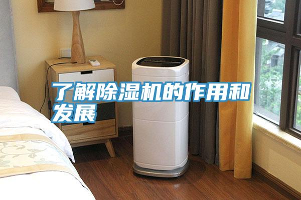 了解草莓小视频黄色的作用和發展