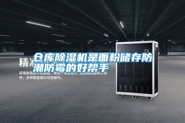 倉庫草莓小视频黄色是麵粉儲存防潮防黴的好幫手