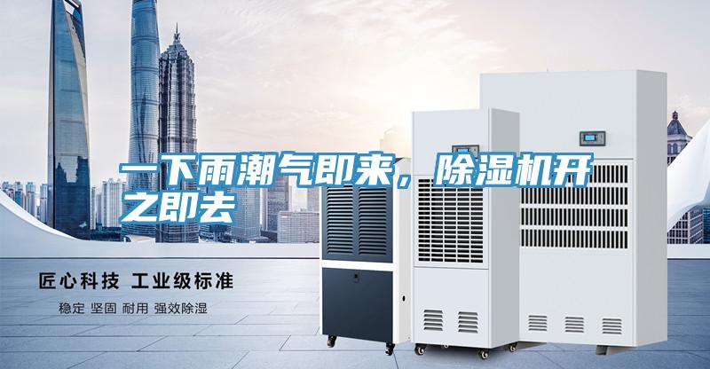 一下雨潮氣即來，草莓小视频黄色開之即去