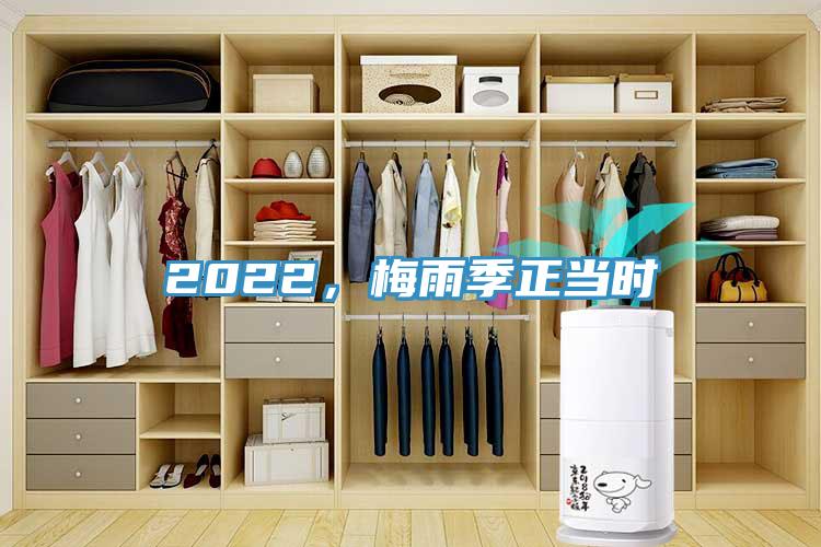 2022，梅雨季正當時