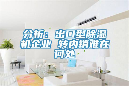 分析：出口型草莓小视频黄色企業 轉內銷難在何處