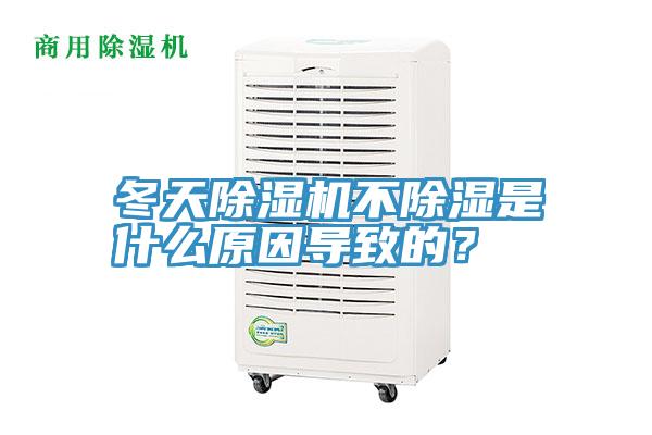 冬天草莓小视频黄色不除濕是什麽原因導致的？