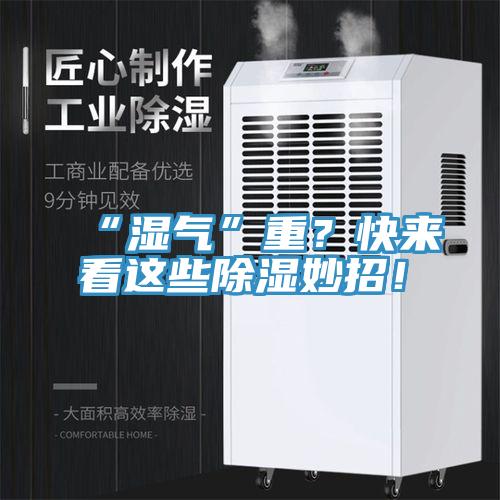 “濕氣”重？快來看這些除濕妙招！