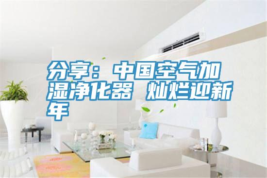 分享：中國空氣加濕淨化器 燦爛迎新年