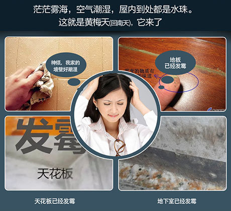 家庭別墅的地下室、衛生間、儲物室等該如何除濕？