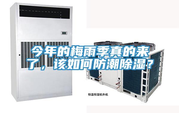今年的梅雨季真的來了，該如何防潮除濕？