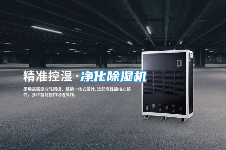 淨化草莓小视频黄色