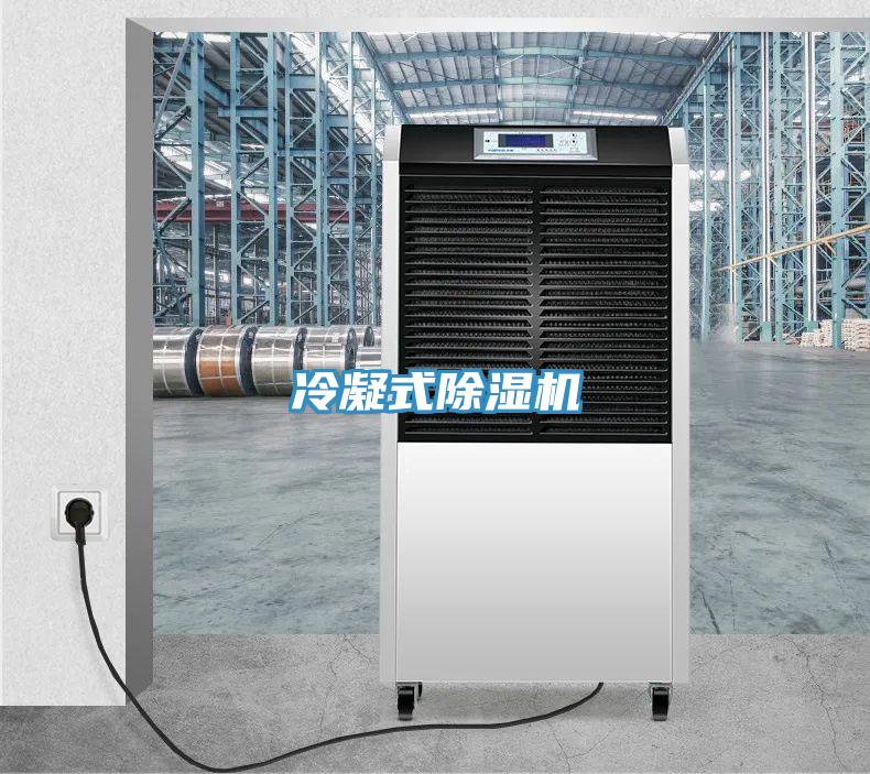 冷凝式草莓小视频黄色