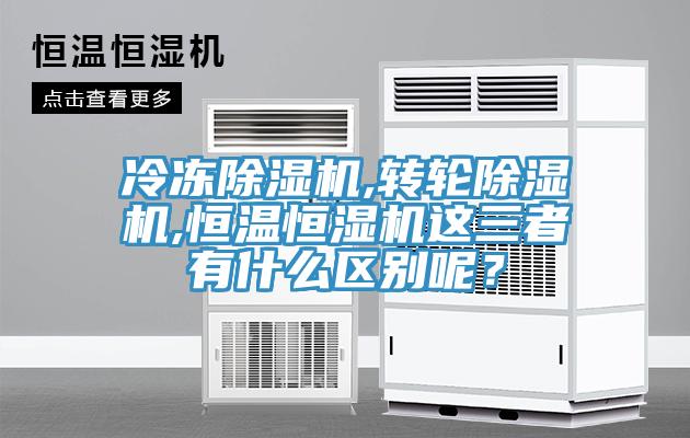 冷凍草莓小视频黄色,轉輪草莓小视频黄色,恒溫恒濕機這三者有什麽區別呢？