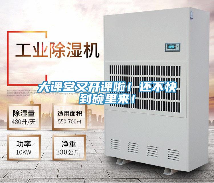 大課堂又開課啦！還不快到碗裏來！